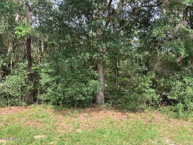 2481 Wavecrest Drive - Photo 1