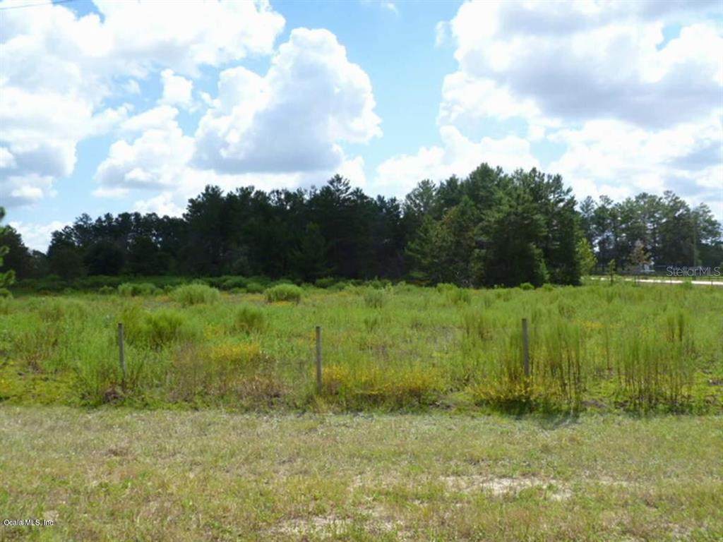 TBD 114 Avenue - Photo 1