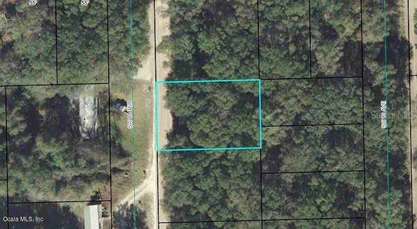 00 81ST Terrace - Photo 1