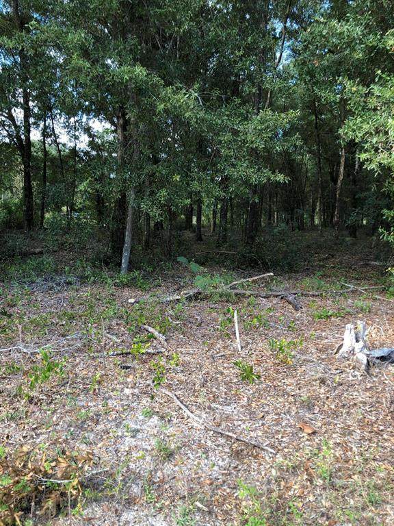 13991 Hwy 464C - Photo 1