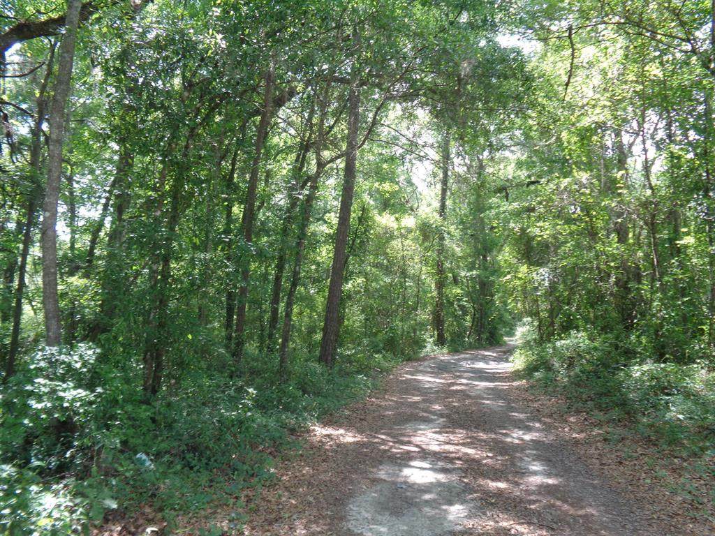 13876 Hwy 464-B - Photo 1