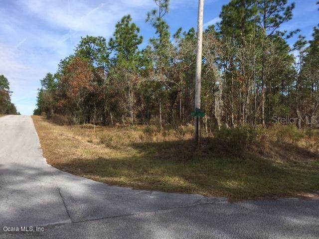 LOT 32 Sycamore Road - Photo 1