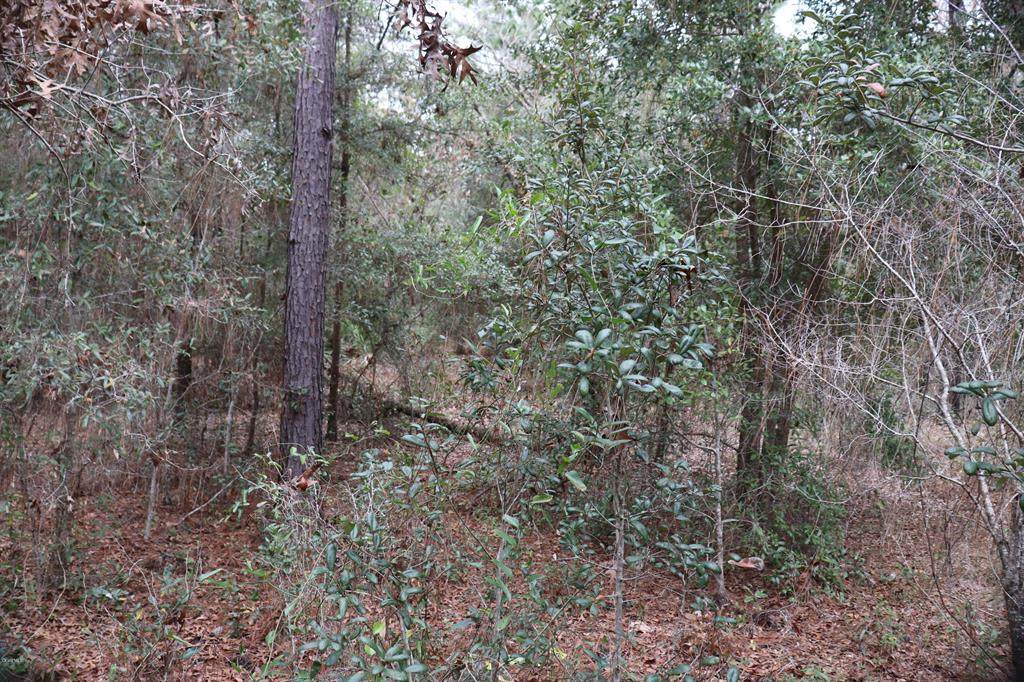 10001 Holyoak Terrace - Photo 1