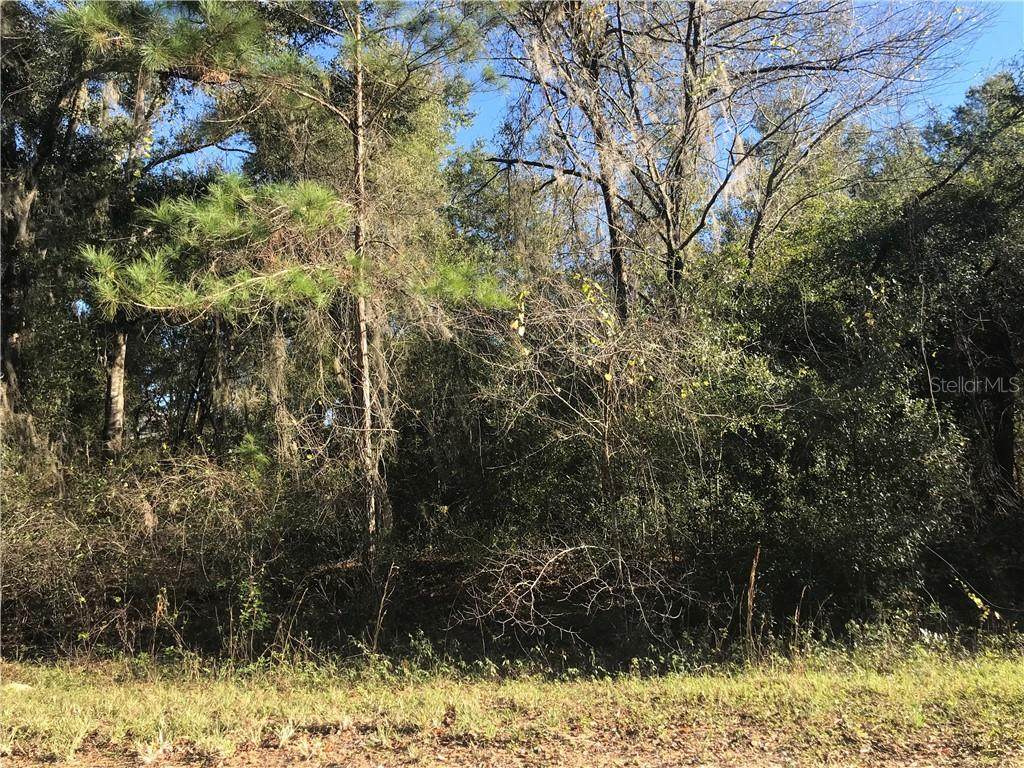 0 Malauka (Lot 8) Loop - Photo 1
