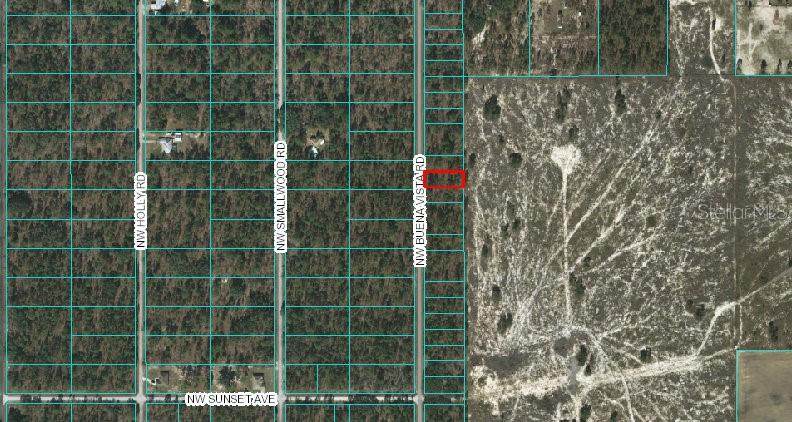 00 Buena Vista Road - Photo 1
