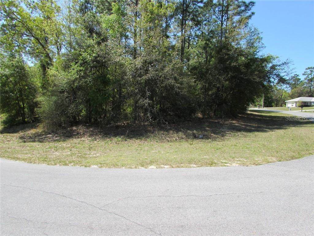 0 196 Avenue - Photo 1