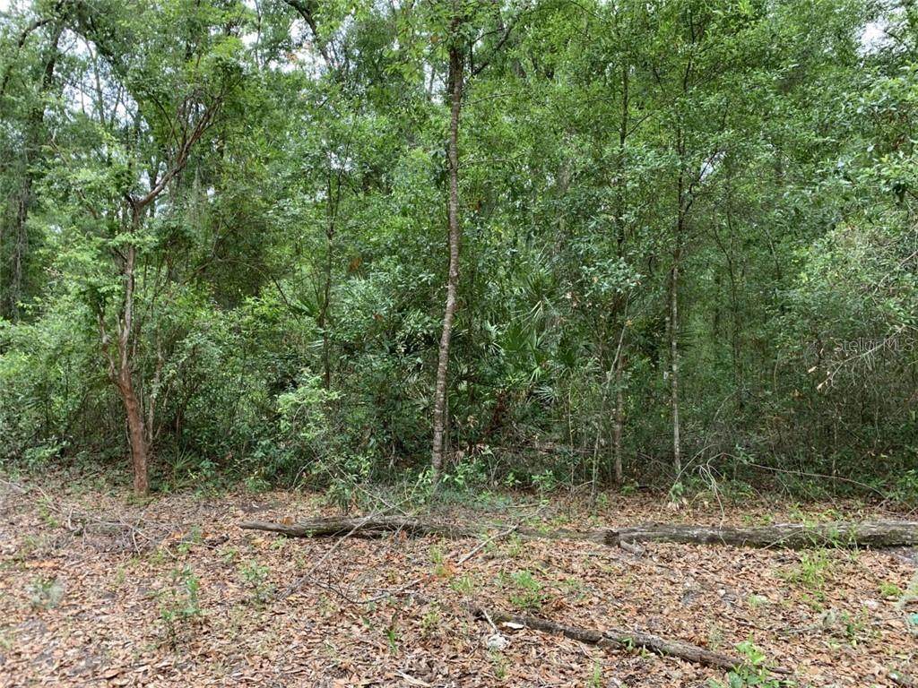 9752 Gardeners Lane - Photo 1