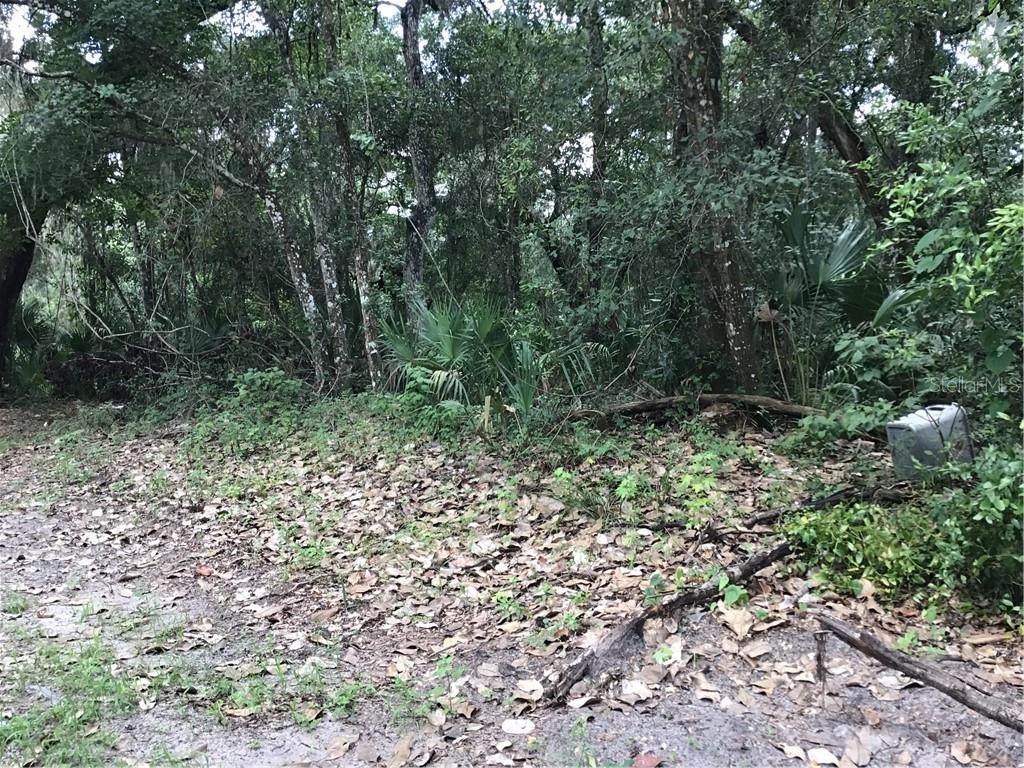 000 44TH Avenue - Photo 1