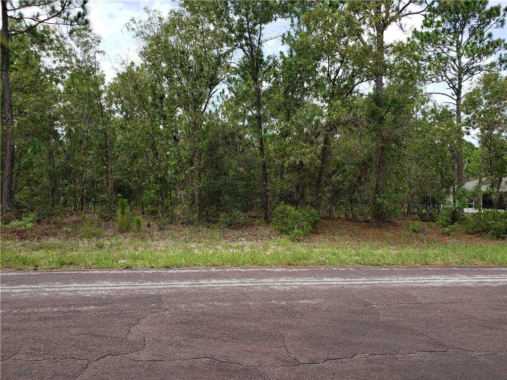 7688 Lyric Drive - Photo 1