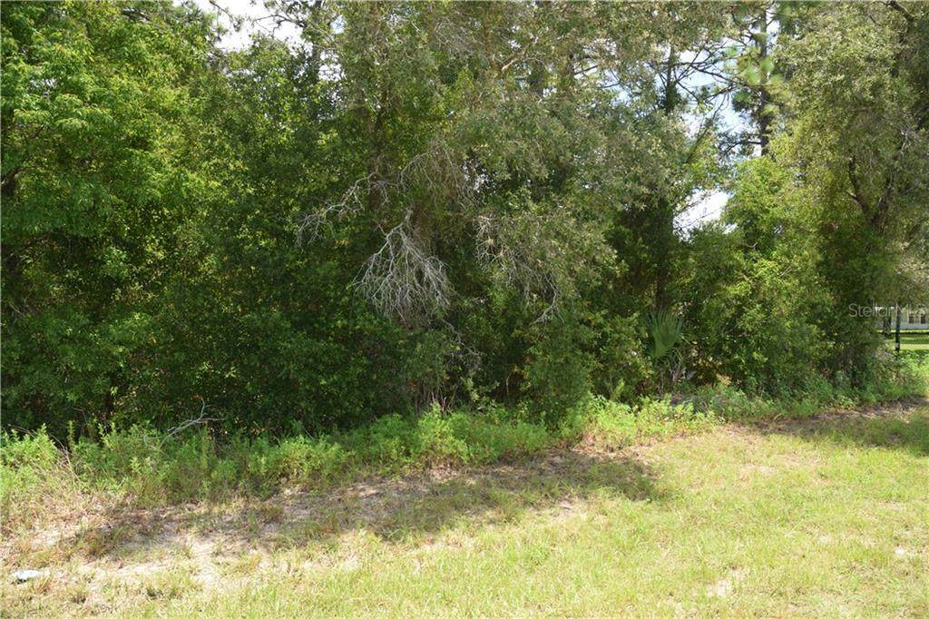 140 Avenue - Photo 1