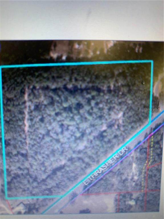 TBD Hwy 24 (Archer Road ) - Photo 1