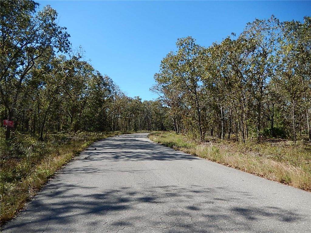 0 Fisher Lane Track - Photo 1