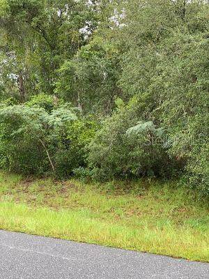 149TH LANE Road - Photo 1