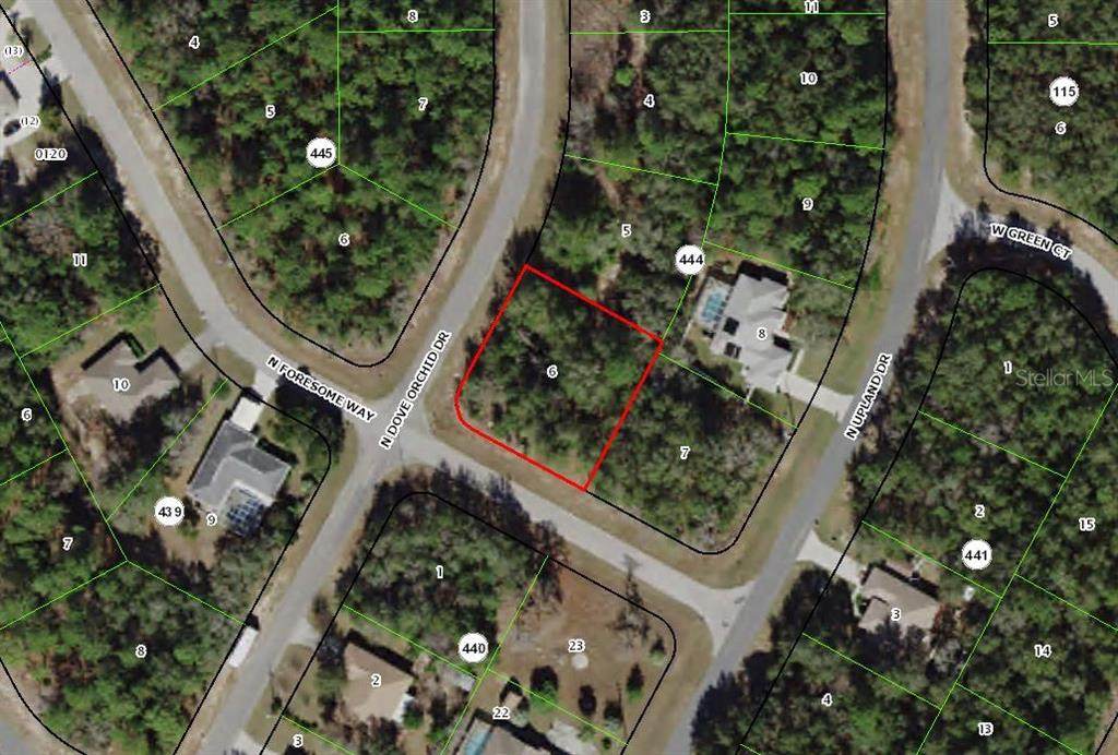 8401 Dove Orchid Drive - Photo 1