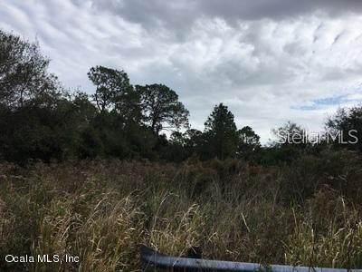 0 Heyman Avenue - Photo 1
