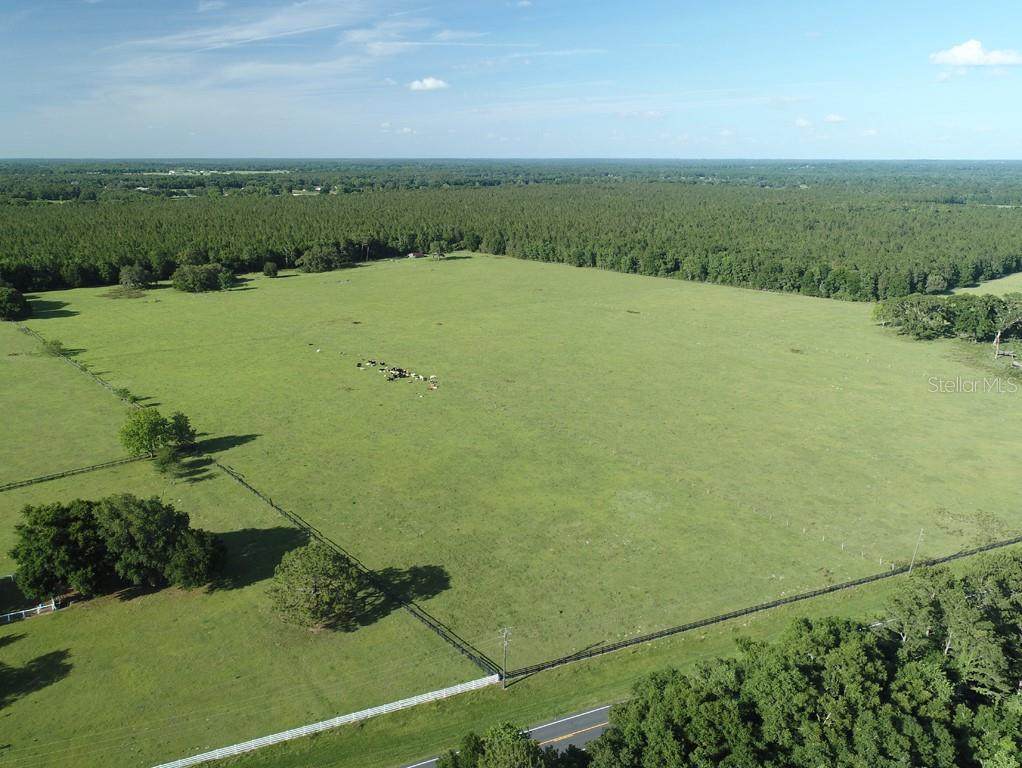 16405 Highway 464B - Photo 1