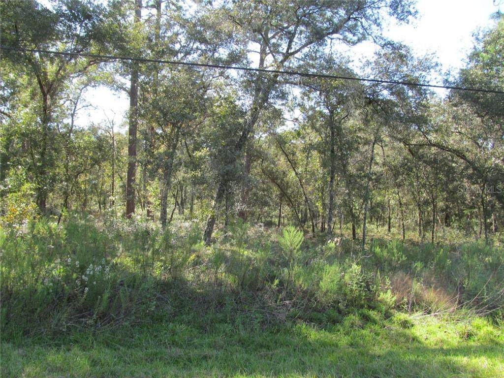 00 Buena Vista Rd - Photo 1