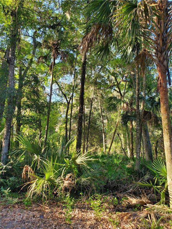 4626 Flambeau Loop - Photo 1