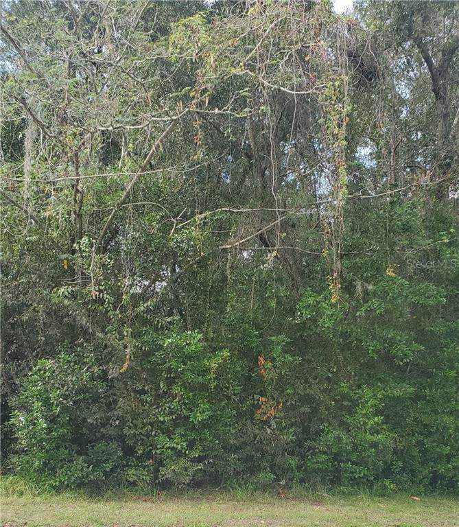 Tbd - Photo 1