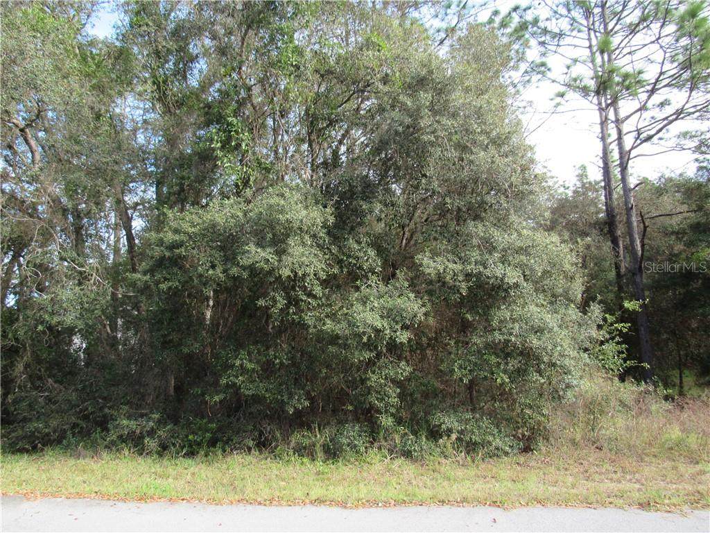 0000 98TH PLACE ROAD, DUNNELLON, FL 34432 - Photo 1