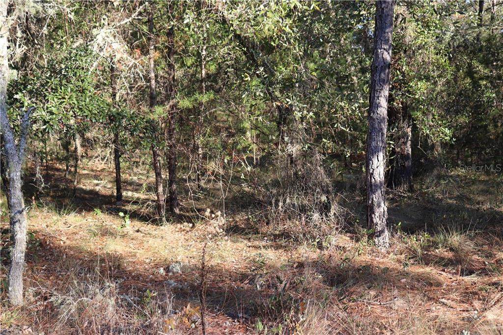 00 Tamiami Place - Photo 1