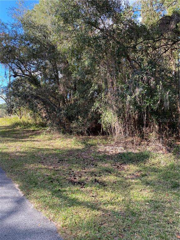 0 93RD LANE Road - Photo 1