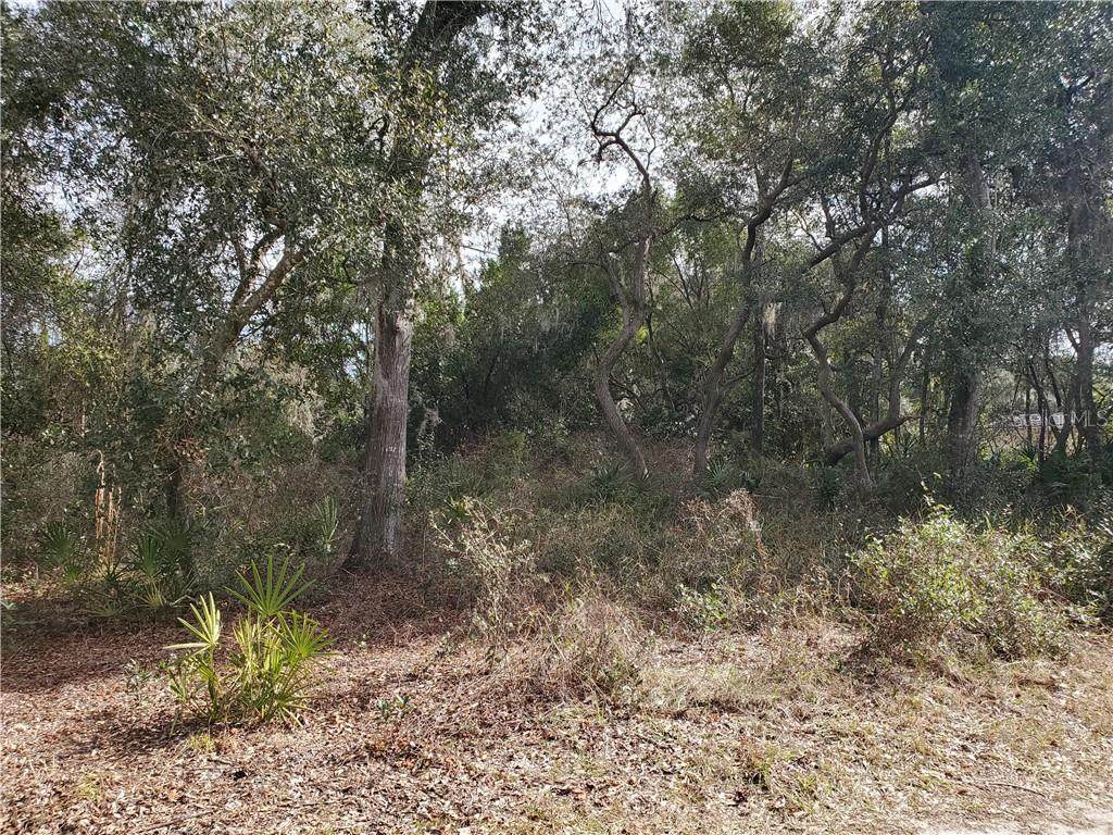 241 Court - Photo 1