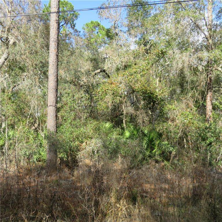 0 132ND Lane - Photo 1