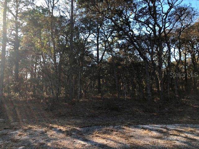 Lot 30 133 Terrace - Photo 1