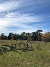 12885 87TH Terrace - Photo 1