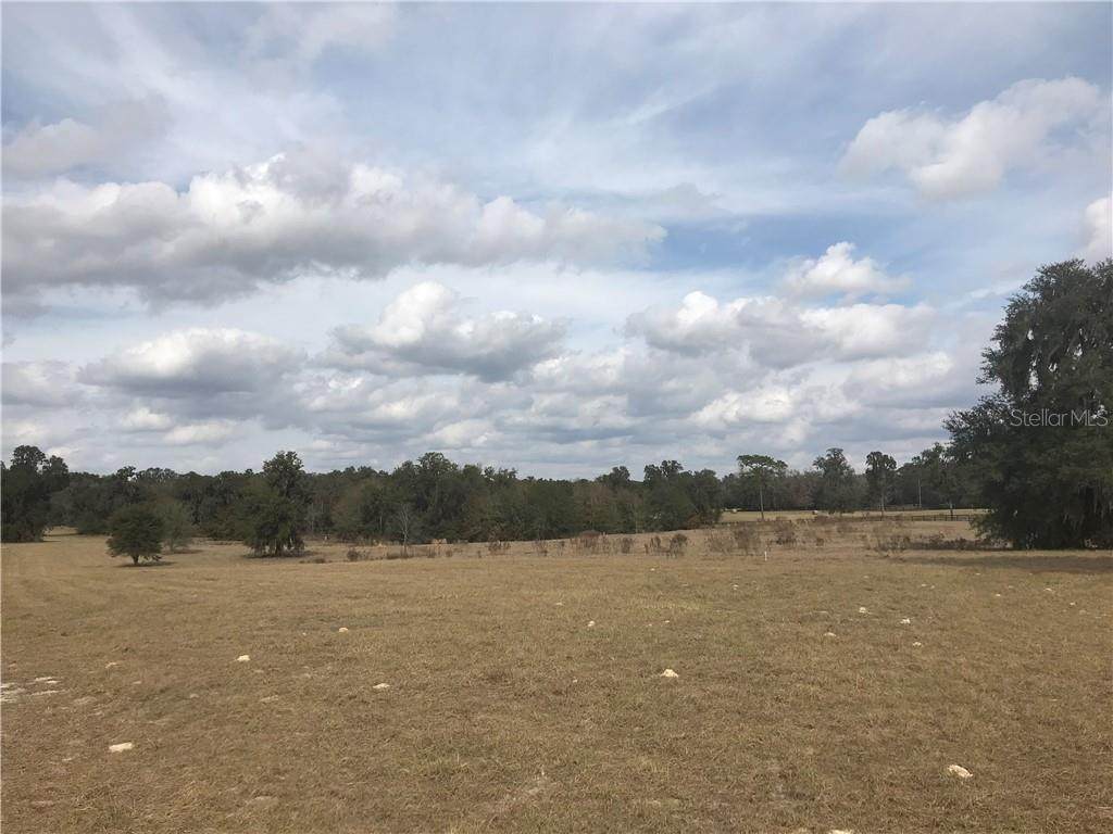 600 Highway 318 - Photo 1