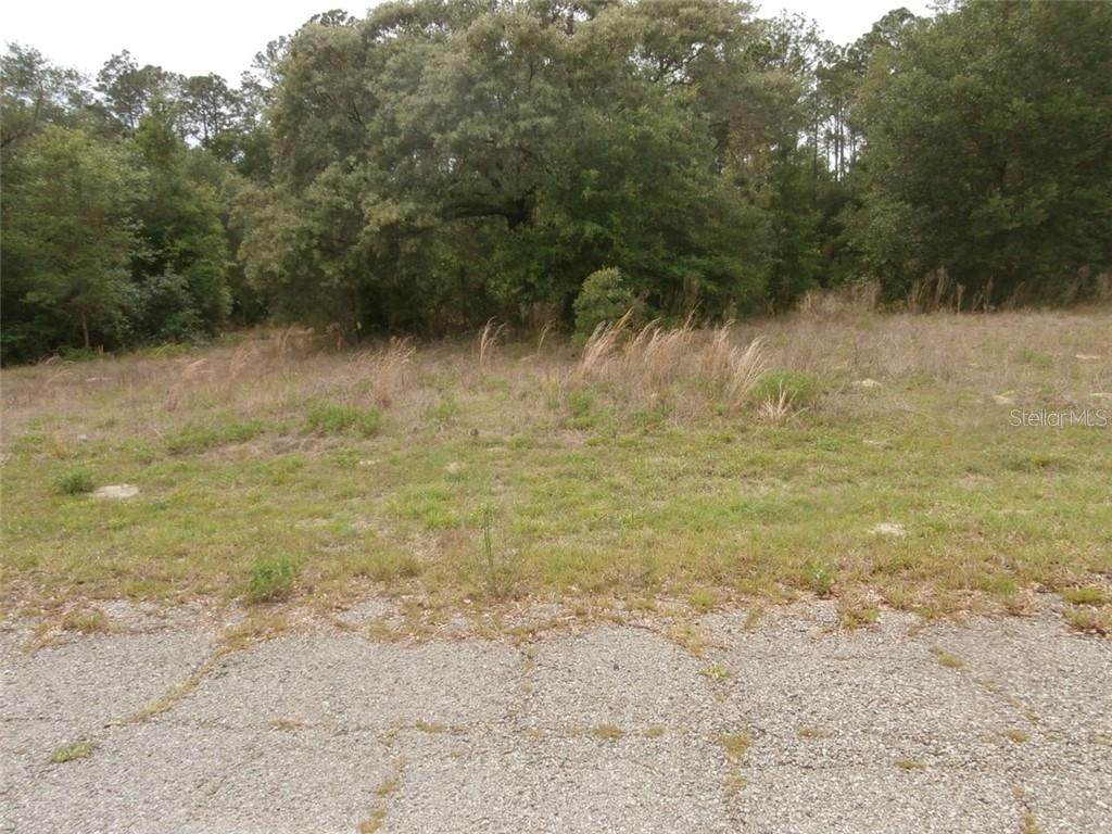 8676 Elida Ave - Photo 1