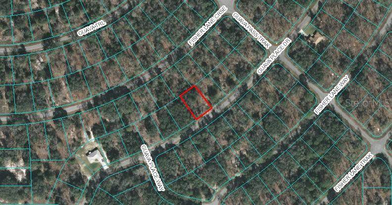 00 Guava Place Drive - Photo 1