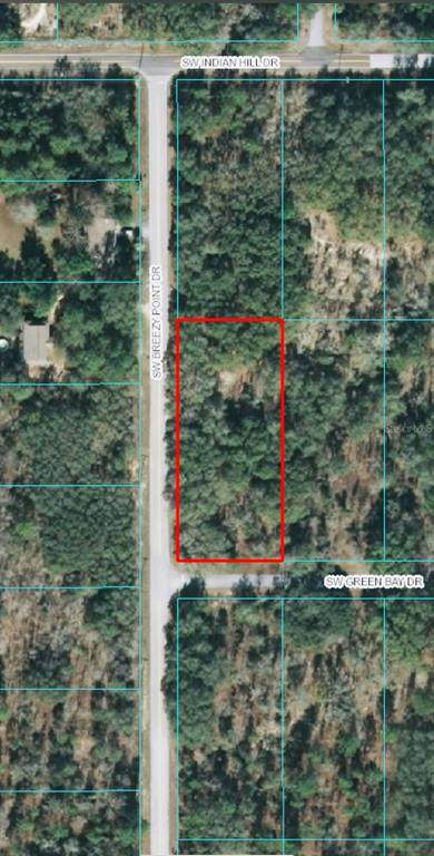00 Green Bay Drive - Photo 1