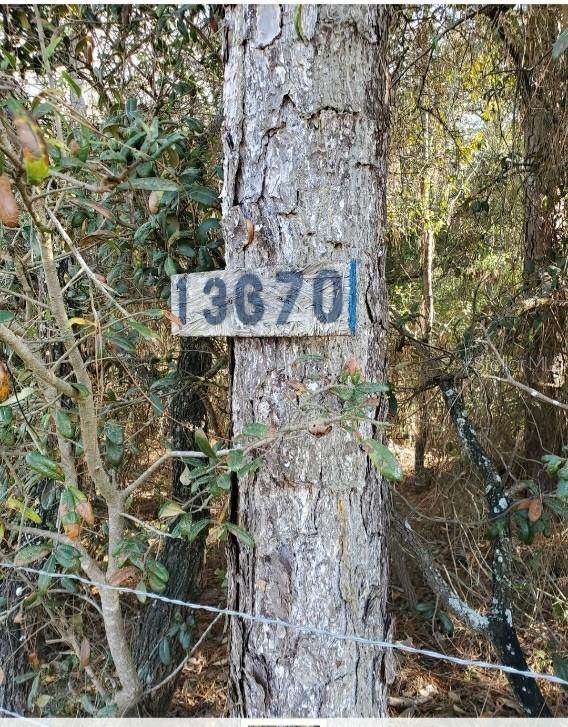 13670 4TH Street - Photo 1