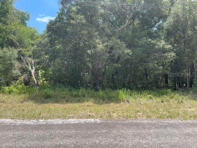 10675 Adler Drive - Photo 1