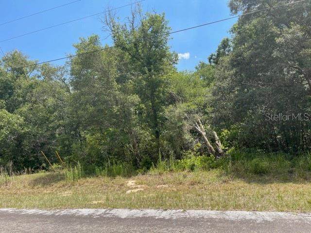 10663 Adler Drive - Photo 1