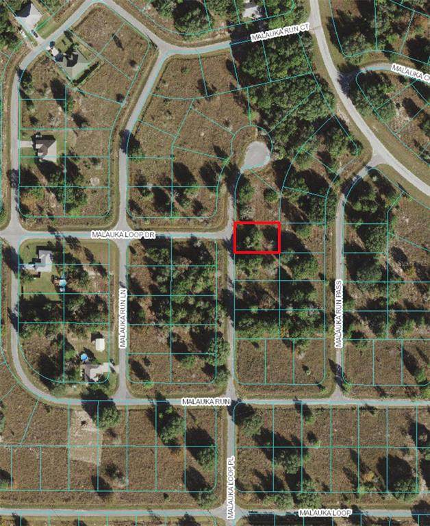 Malauka Loop Place - Photo 1