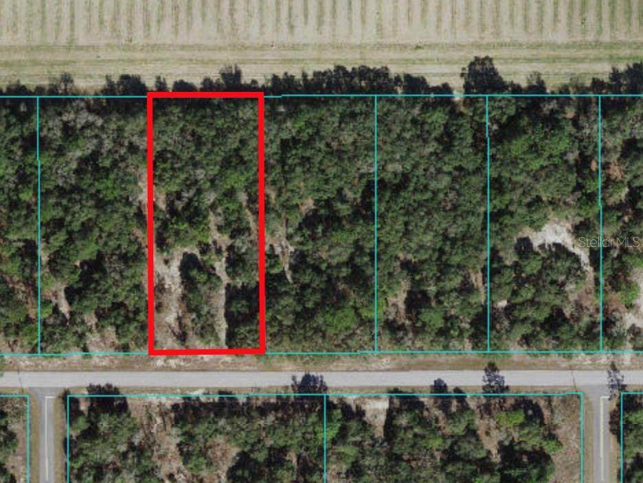 00 Pine Bluffs Road - Photo 1