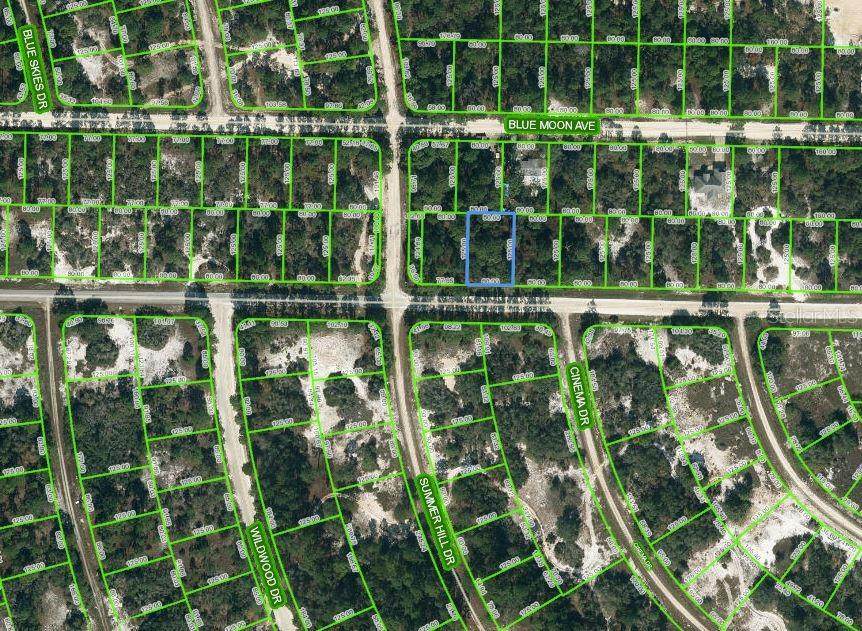 384 Jack Weisser Boulevard - Photo 1