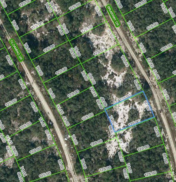 210 Briarway Drive - Photo 1