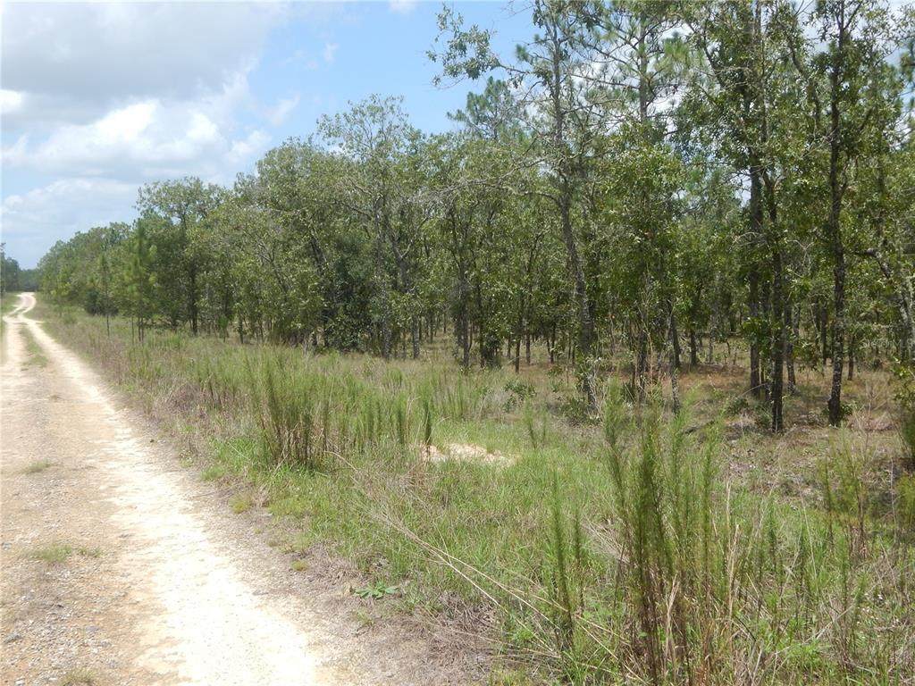 00 11TH Place - Photo 1