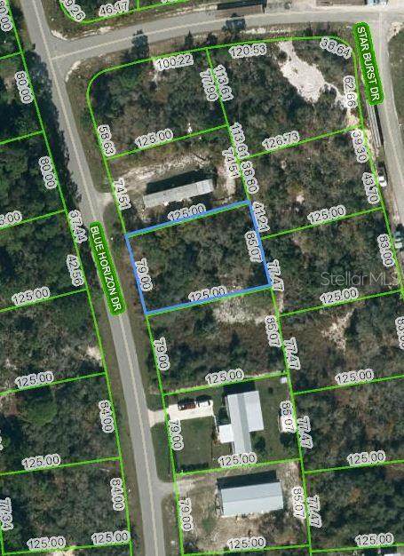 111 Blue Horizon Drive - Photo 1