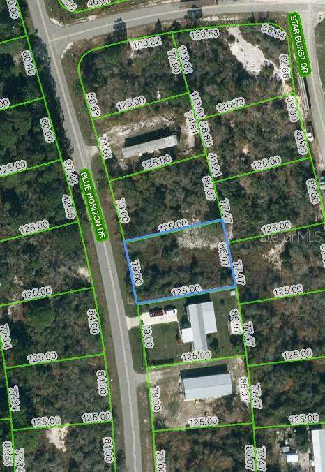 109 Blue Horizon Drive - Photo 1