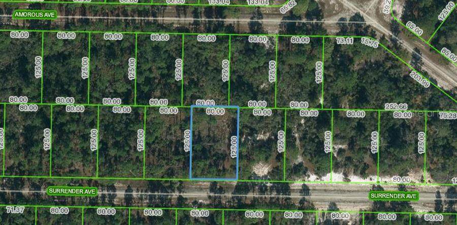 420 Surrender Avenue - Photo 1
