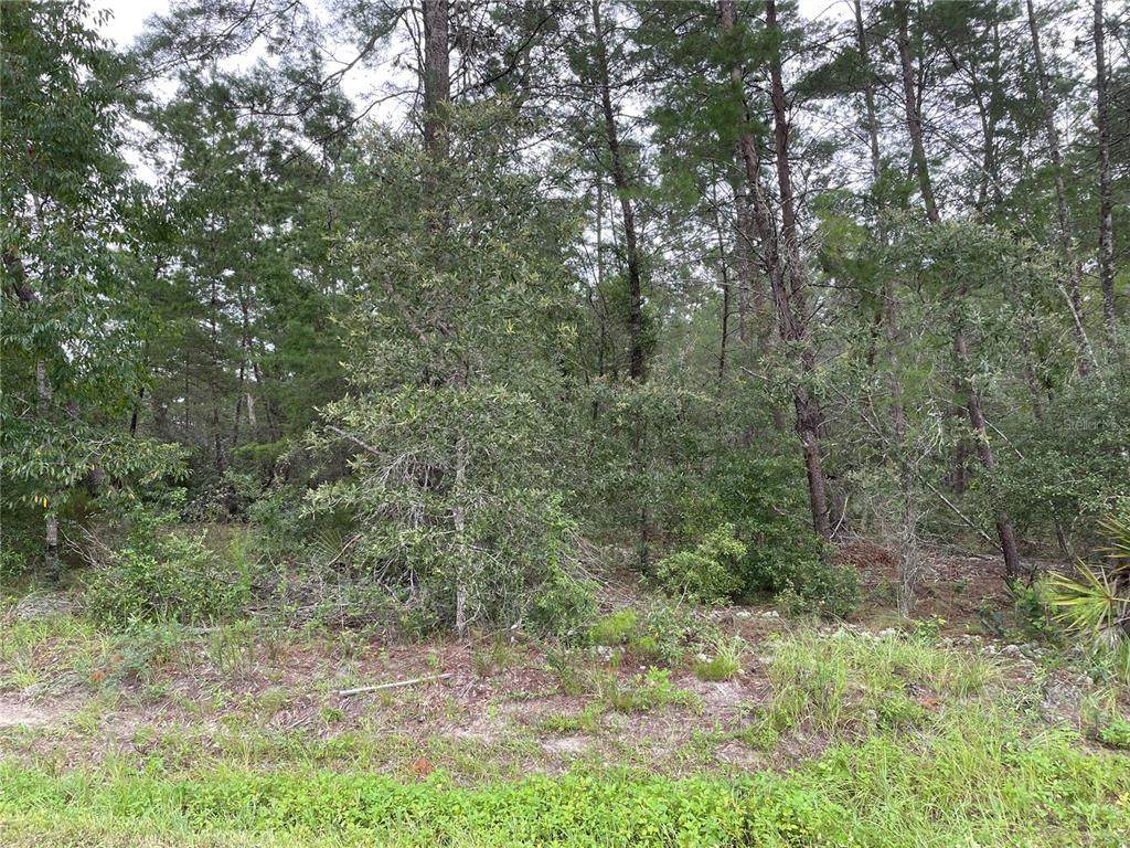 0 104TH Street - Photo 1