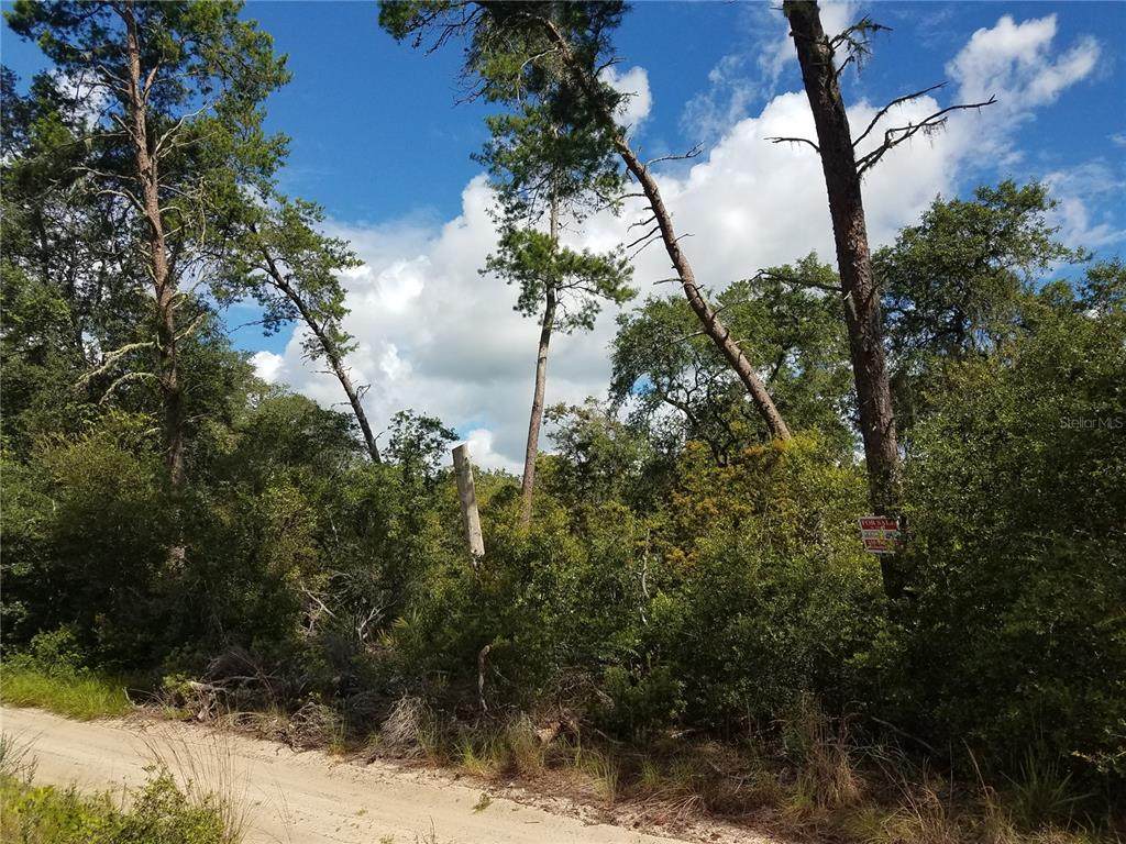234TH Lane - Photo 1