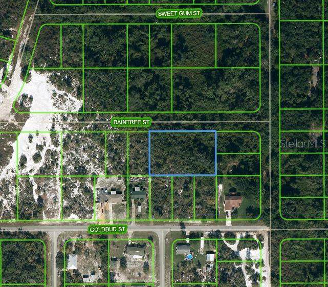 1515 Raintree Street - Photo 1