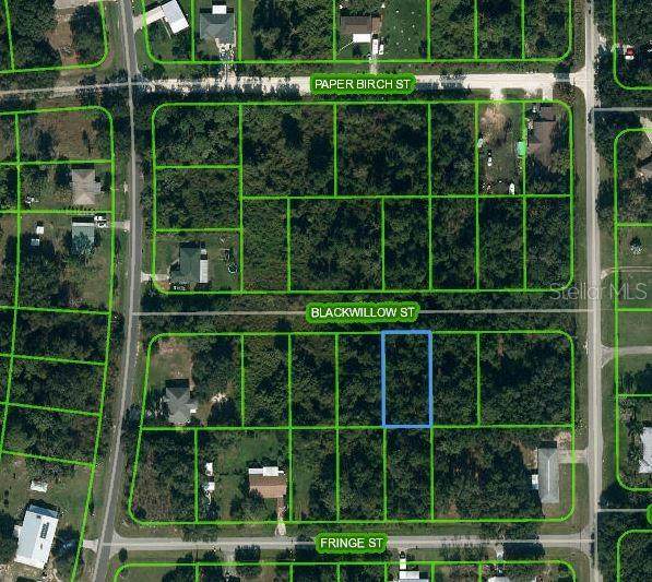 1505 Prentice Street - Photo 1
