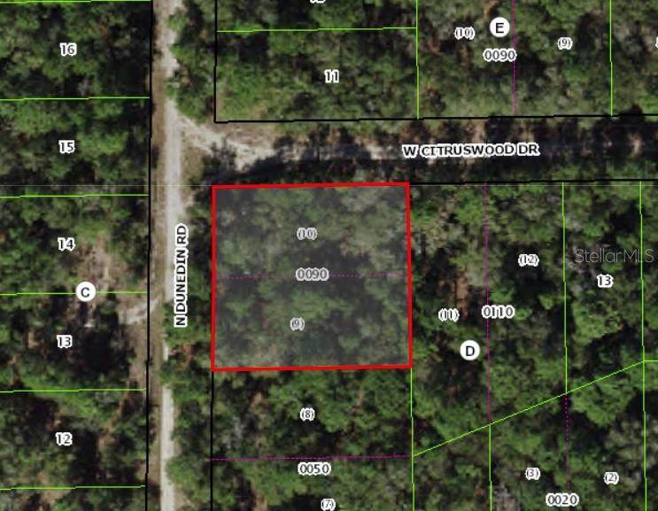 10381 Dunedin Road - Photo 1